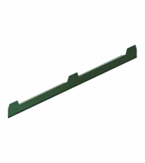 frontal cub (1)